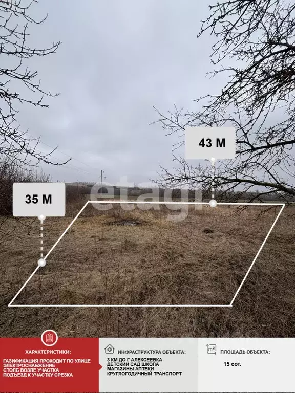 Участок в Белгородская область, Алексеевский муниципальный округ, с. ... - Фото 1