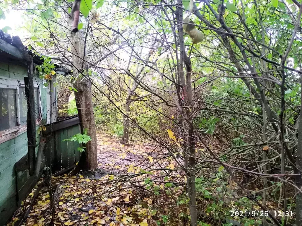 Участок в Рязанская область, Кораблинский муниципальный округ, с. ... - Фото 1