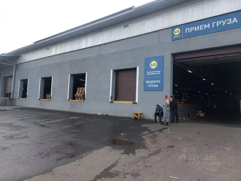 Склад в Оренбургская область, Оренбург Загородное ш., 3/4 (700 м) - Фото 1