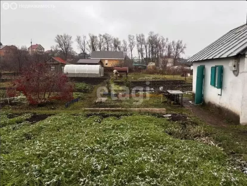 Участок в село Новая Отрадовка, СНТ Стерля (11.89 м) - Фото 1