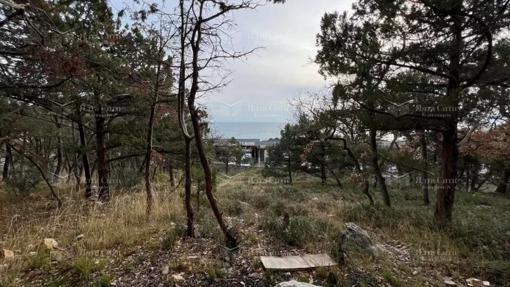 Участок в Крым, Ялта муниципальный округ, Курпаты пгт ш. Алупкинское ... - Фото 0