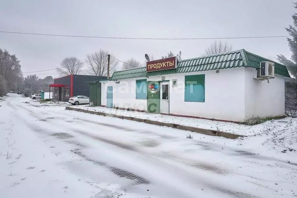 Торговая площадь в Калужская область, Боровский муниципальный округ, ... - Фото 1