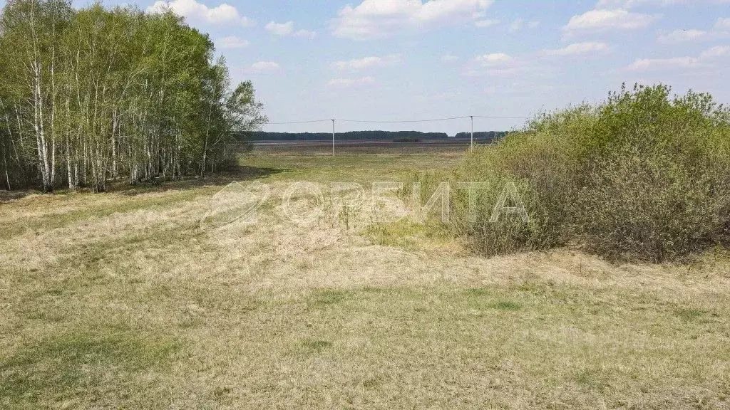 Участок в Тюменская область, Тюменский район, с. Горьковка Сибирская ... - Фото 1