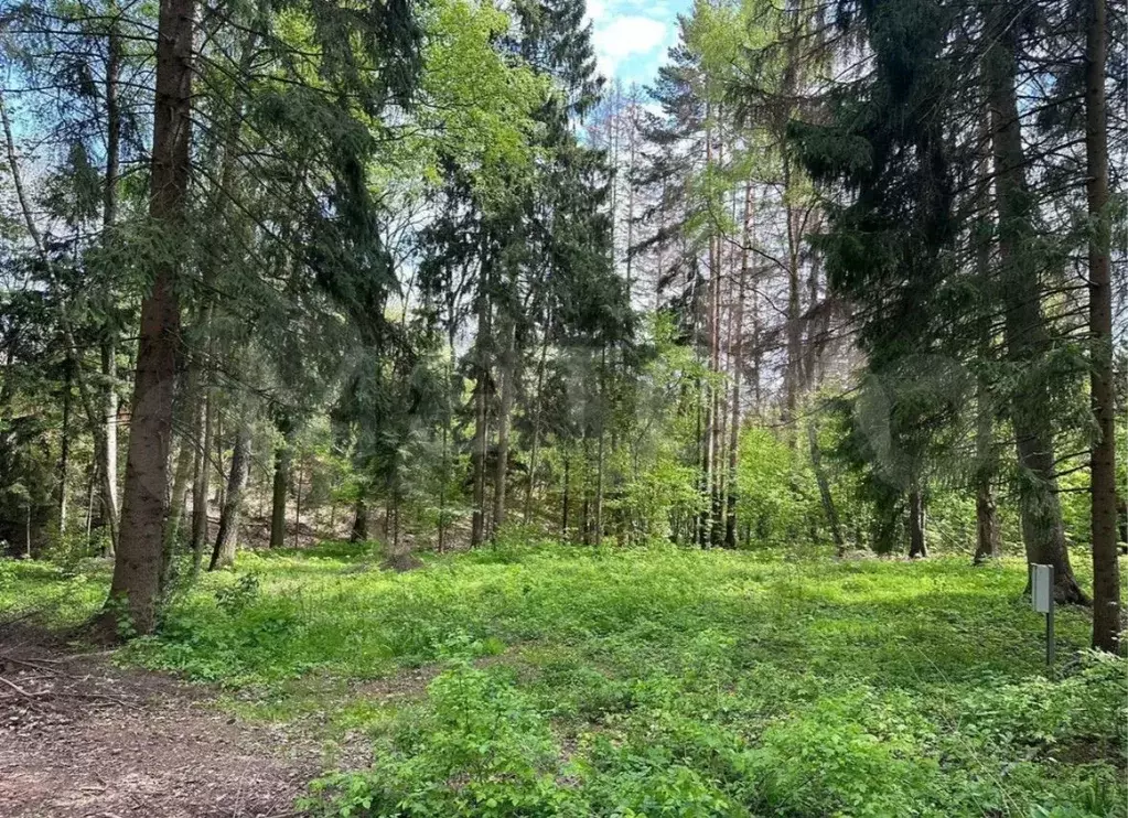 Участок 12 сот. (СНТ, ДНП) - Фото 1