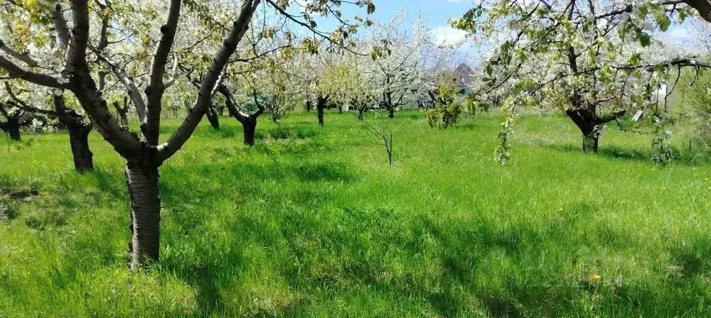 Дом в Волгоградская область, Городищенский район, Ерзовское городское ... - Фото 1