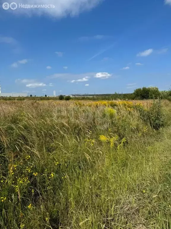 Участок в Калужская область, Ферзиковский муниципальный округ, ... - Фото 1
