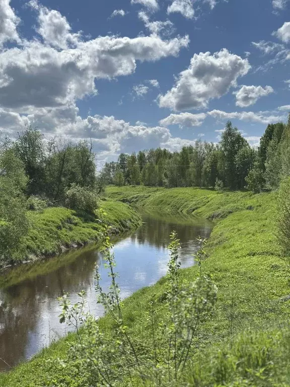 Участок в Московская область, Лотошино муниципальный округ, д. ... - Фото 0