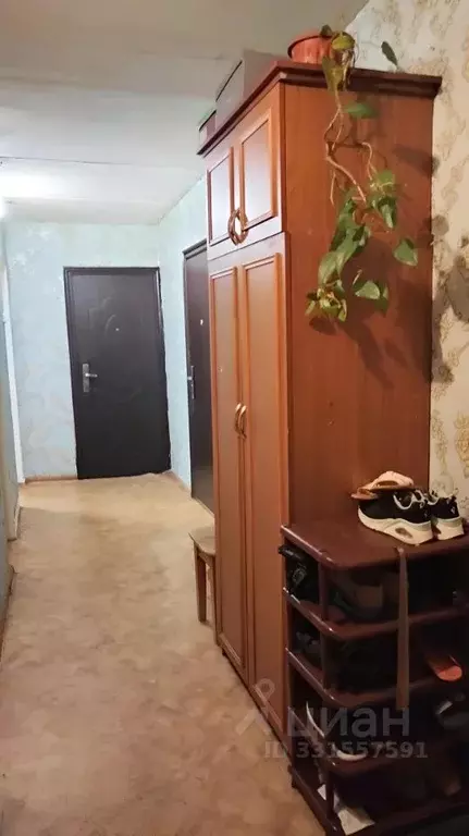Комната Санкт-Петербург ул. Ушинского, 5К2 (11.4 м) - Фото 1