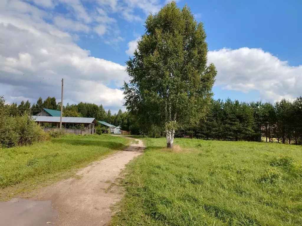 Участок в Вологодская область, Череповецкий район, д. Нагавицыно  ... - Фото 1