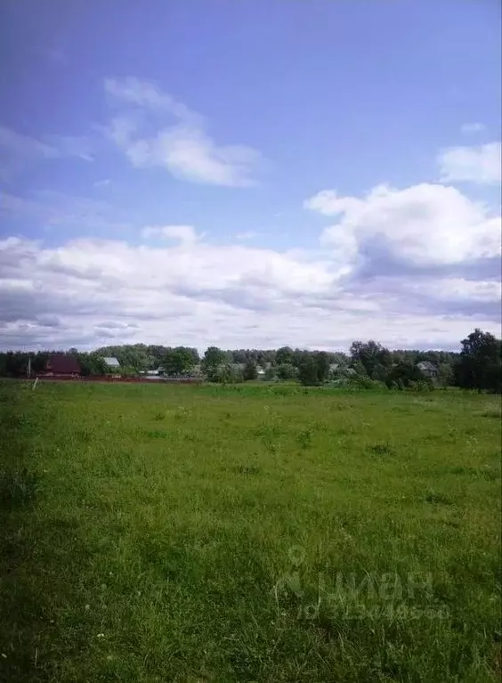 Участок в Тверская область, Рамешковский муниципальный округ, д. ... - Фото 2