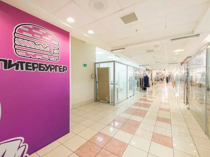 Помещение свободного назначения в Санкт-Петербург Думская ул., 4 (241 ... - Фото 2