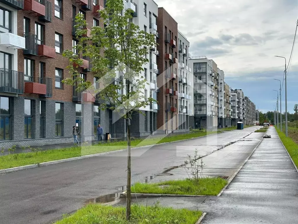 Торговая площадь в Московская область, Одинцовский городской округ, с. ... - Фото 1