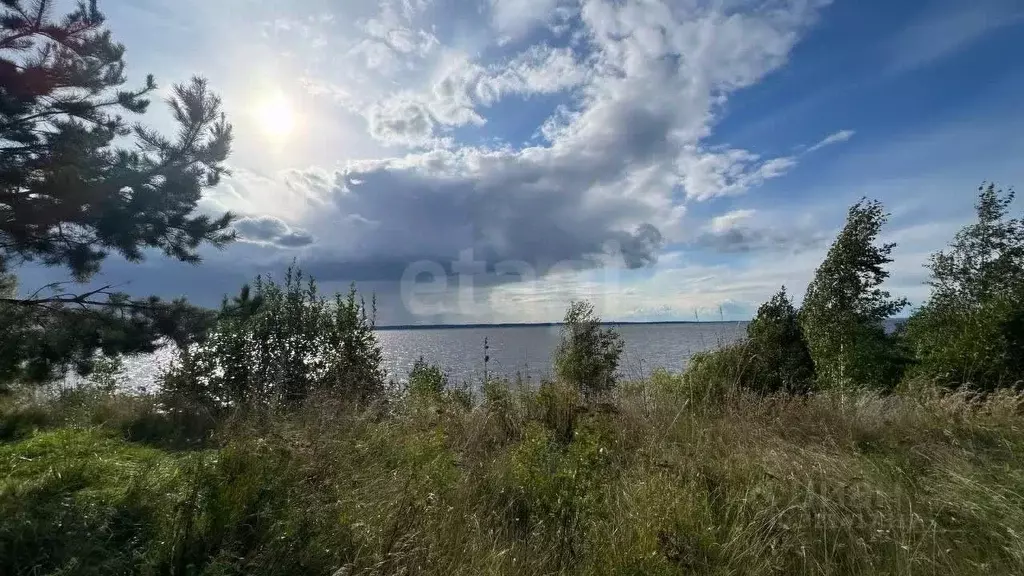 Участок в Нижегородская область, Сокольский муниципальный округ, ... - Фото 1