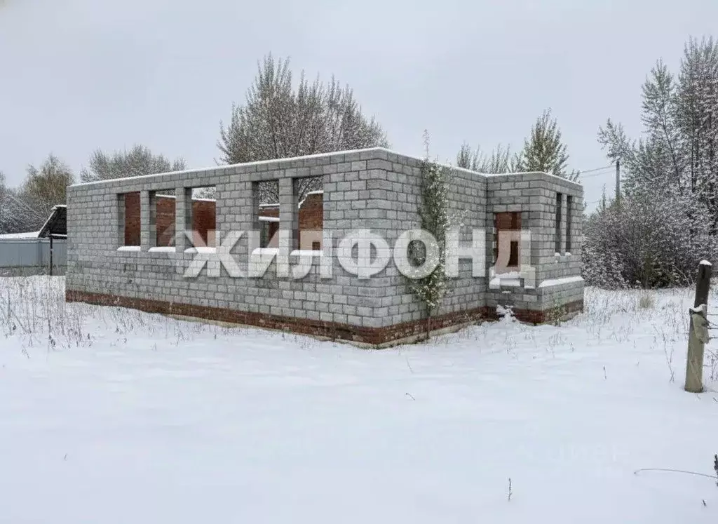 Участок в Новосибирская область, Новосибирский район, Боровской ... - Фото 1