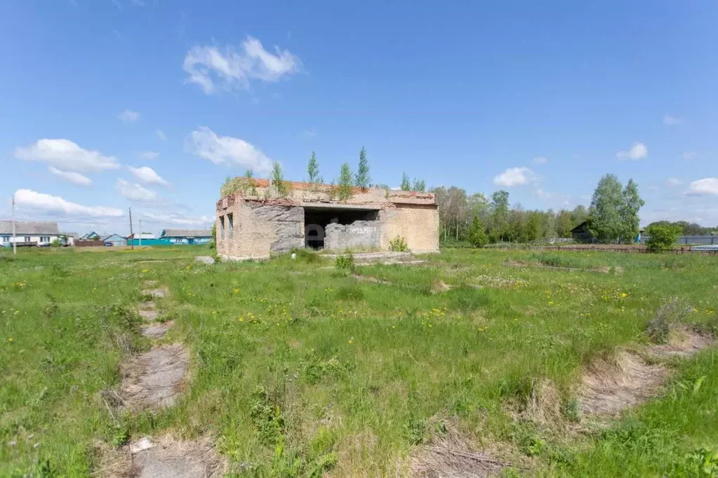 Помещение свободного назначения в Тюменская область, Тобольский ... - Фото 1