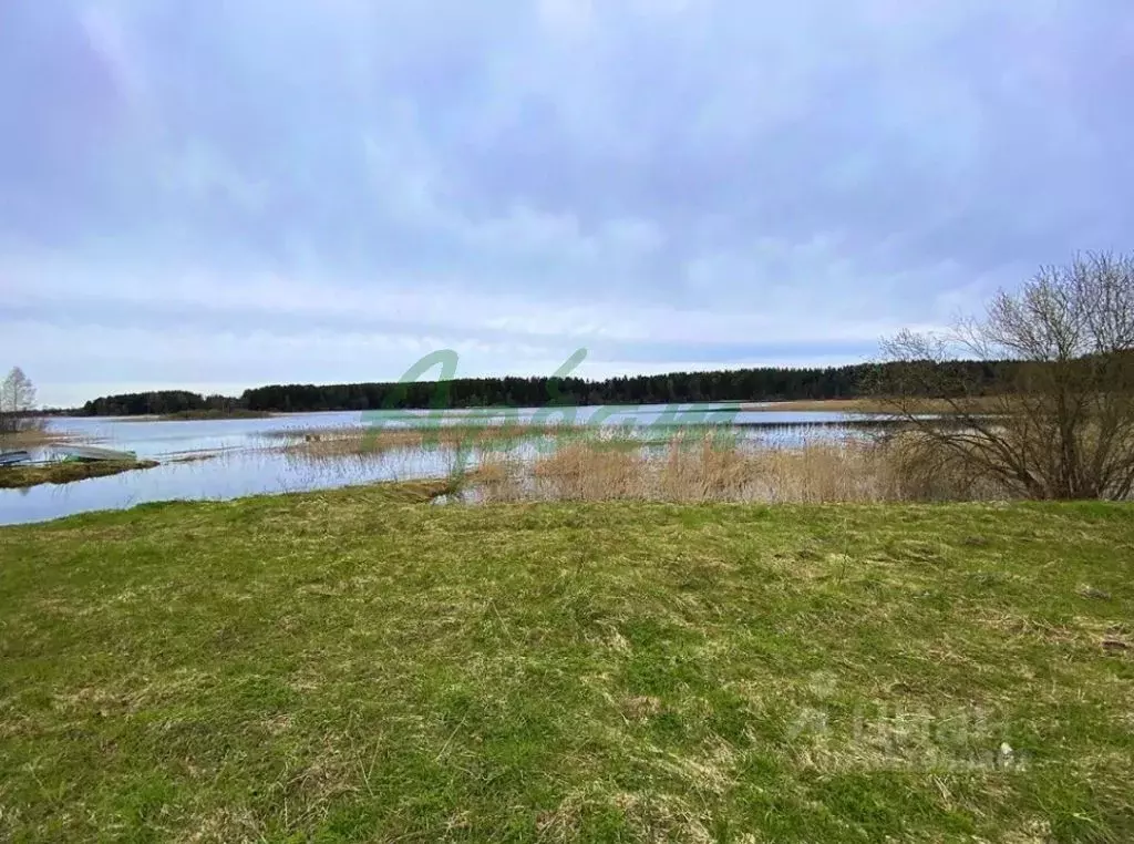 Участок в Тверская область, Осташковский муниципальный округ, д. Гуща  ... - Фото 1