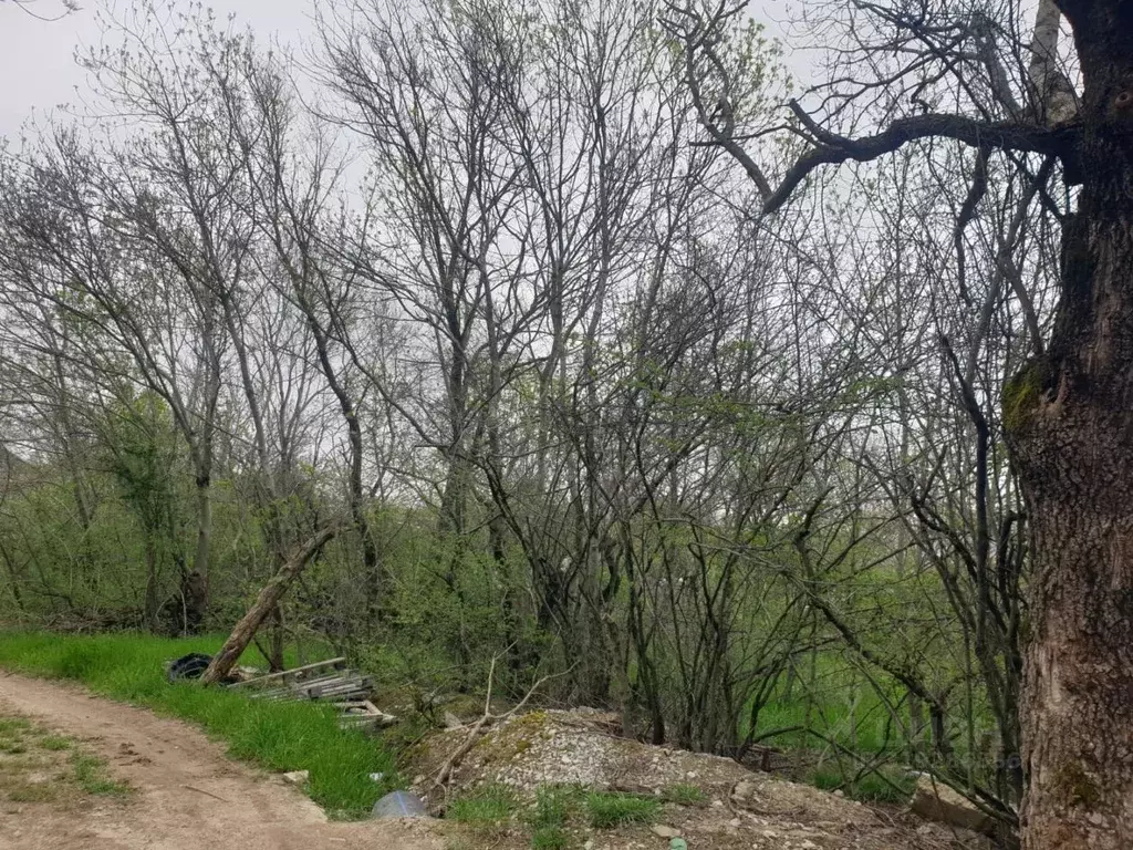 Участок в Краснодарский край, Новороссийск городской округ, с. ... - Фото 1