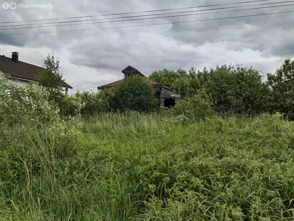 Участок в Собинка, Полевая улица, 5 (12 м) - Фото 0