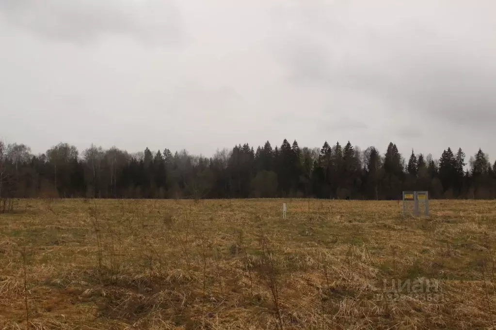 Участок в Московская область, Шаховская муниципальный округ, с. Белая ... - Фото 2