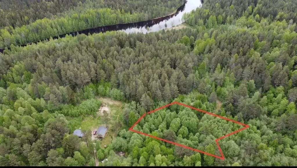 Участок в Карелия, Пряжинский район, Эссойльское с/пос, д. Чуралахта  ... - Фото 1