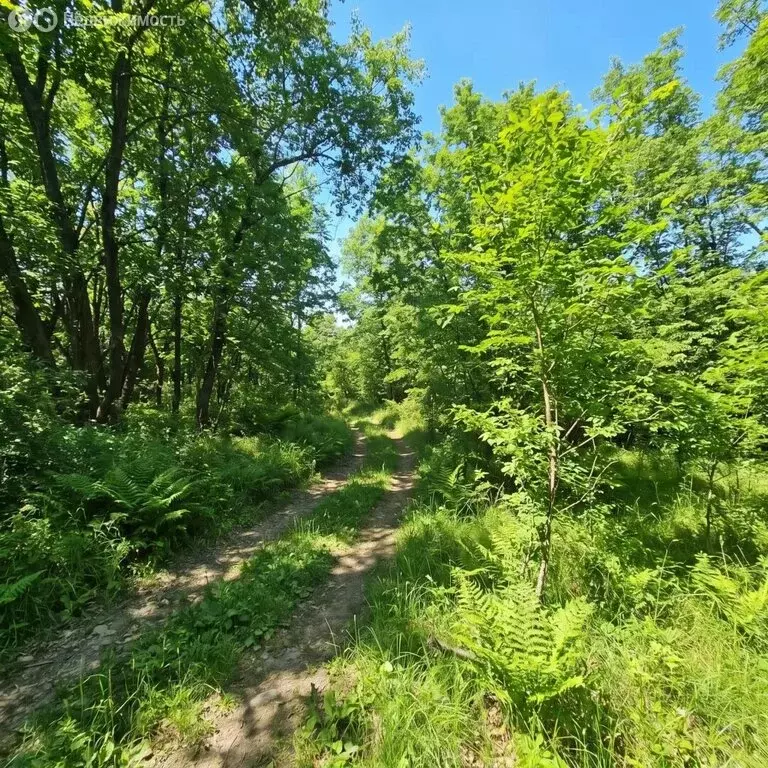 Участок в село Суражевка, Грибная улица, 54 (18 м) - Фото 2