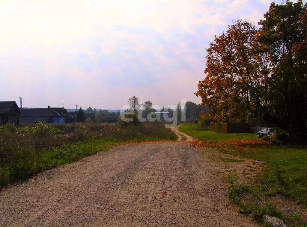 Участок в Ярославский муниципальный округ, деревня Скоморохово (9 м) - Фото 1