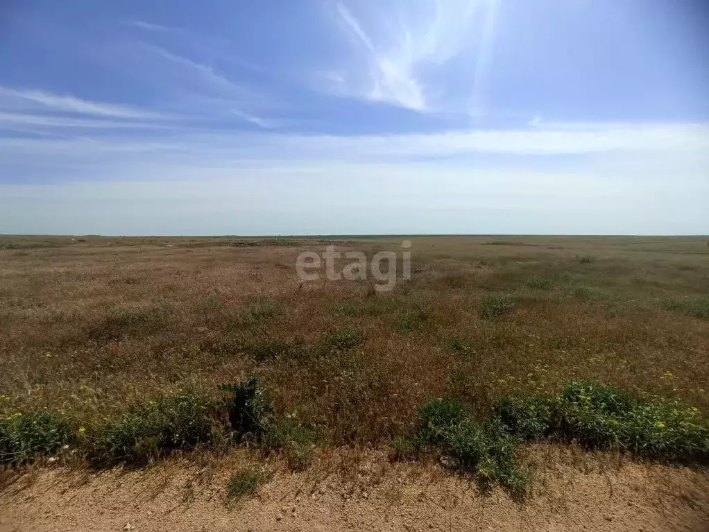 Участок в Крым, Черноморский район, с. Новосельское ул. Ленина (5.0 ... - Фото 0