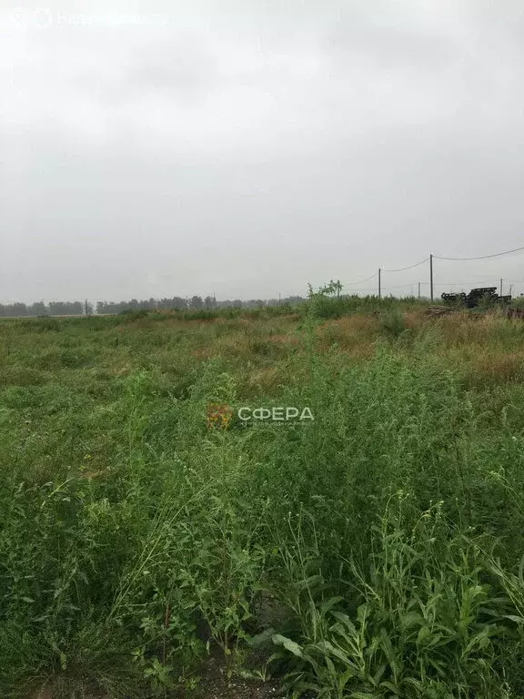 Участок в Толмачёвский сельсовет, посёлок Новоозёрный, улица Мира (8 ... - Фото 0