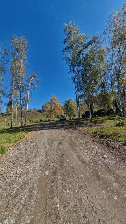Участок в Алтай, Чемальский район, с. Чемал пер. Светлый (10.24 сот.) - Фото 1