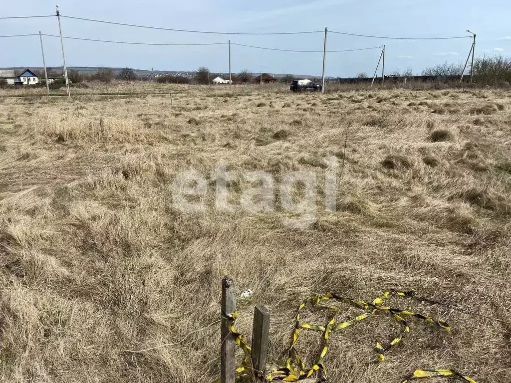 Участок в Белгородская область, Алексеевский городской округ, с. ... - Фото 1