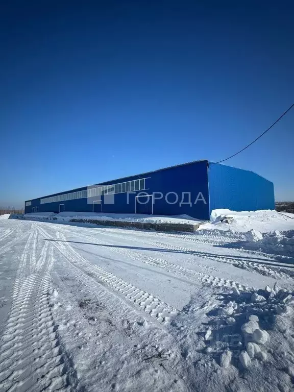 Помещение свободного назначения в Новосибирская область, Искитимский ... - Фото 1