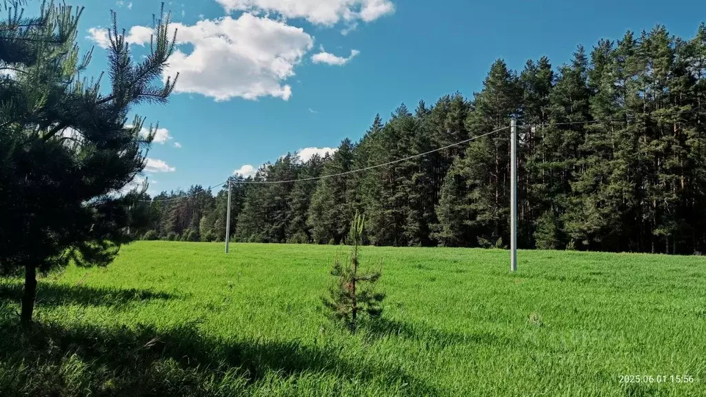 Участок в Тверская область, Калининский муниципальный округ, д. ... - Фото 1