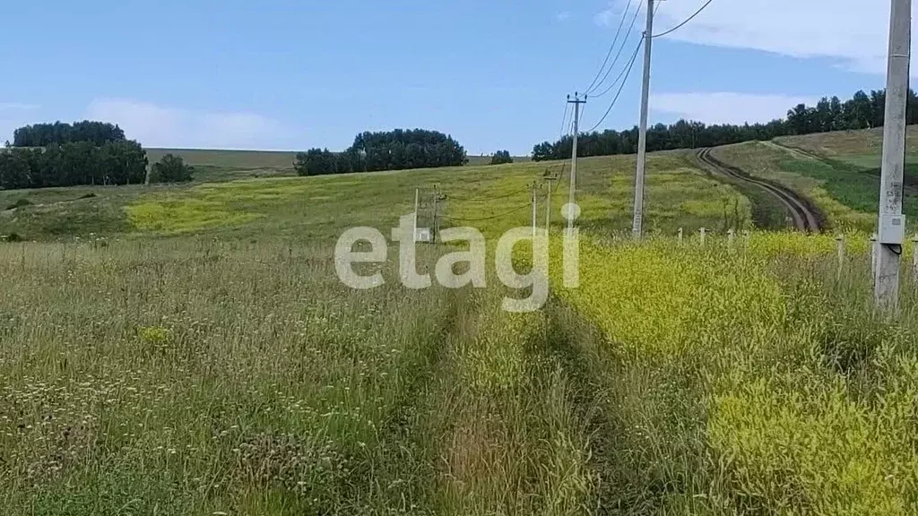 Участок в Красноярский край, Емельяновский район, с. Шуваево  (10.0 ... - Фото 0