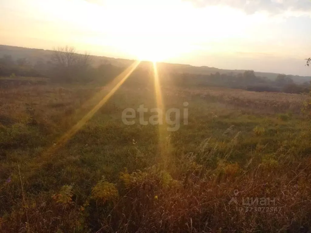 Участок в Курская область, Октябрьский район, Филипповский сельсовет, ... - Фото 1