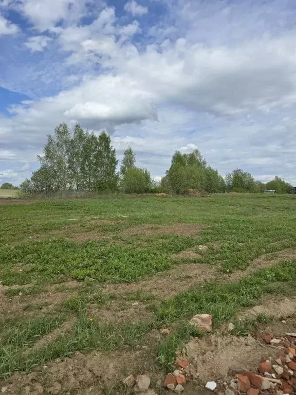 Участок в Владимирская область, Суздальский район, Боголюбовское ... - Фото 0