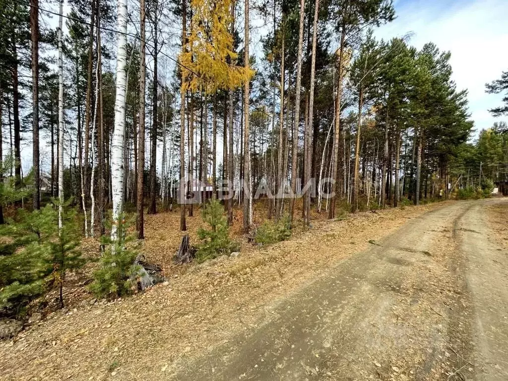 Участок в Бурятия, Прибайкальский район, с. Горячинск ул. Придорожная ... - Фото 1