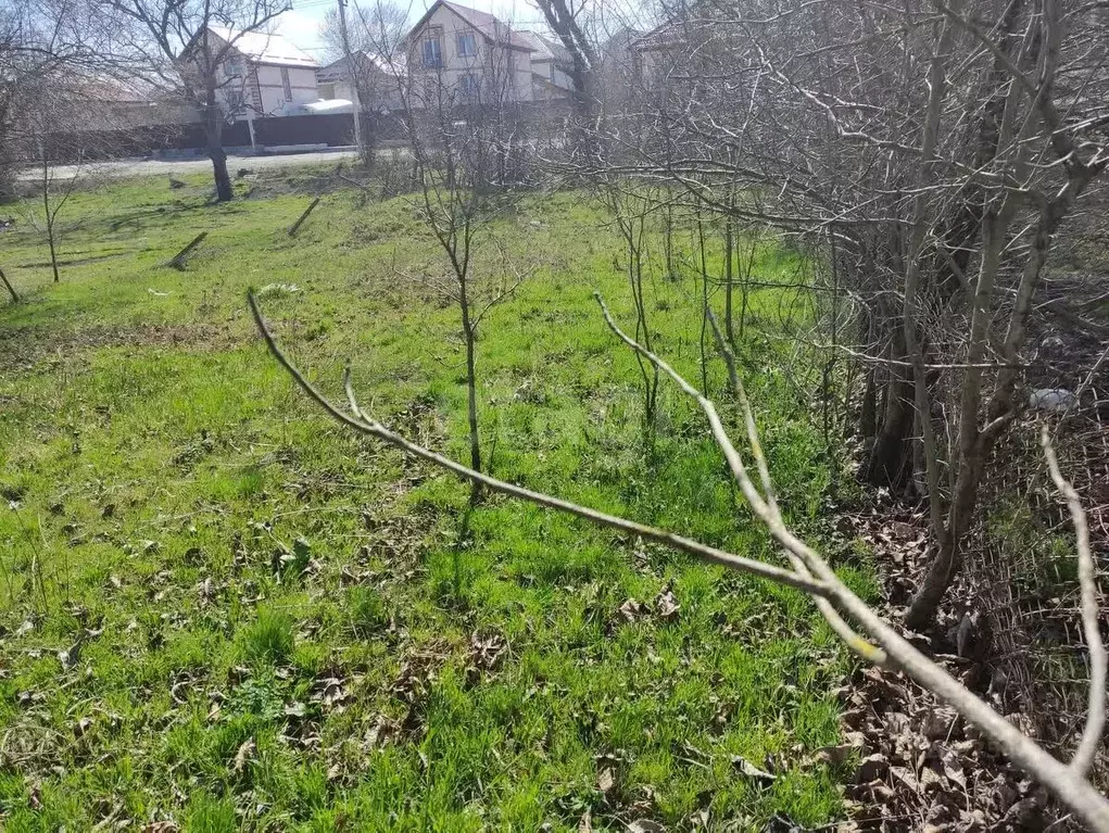 Участок в Краснодарский край, Новороссийск городской округ, ... - Фото 1