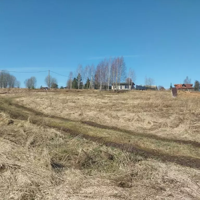 Участок в Ленинградская область, Гатчинский муниципальный округ, д. ... - Фото 1