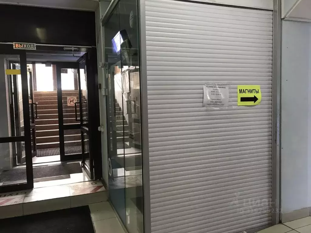 Торговая площадь в Челябинская область, Челябинск ул. Курчатова, 5в (6 ... - Фото 1