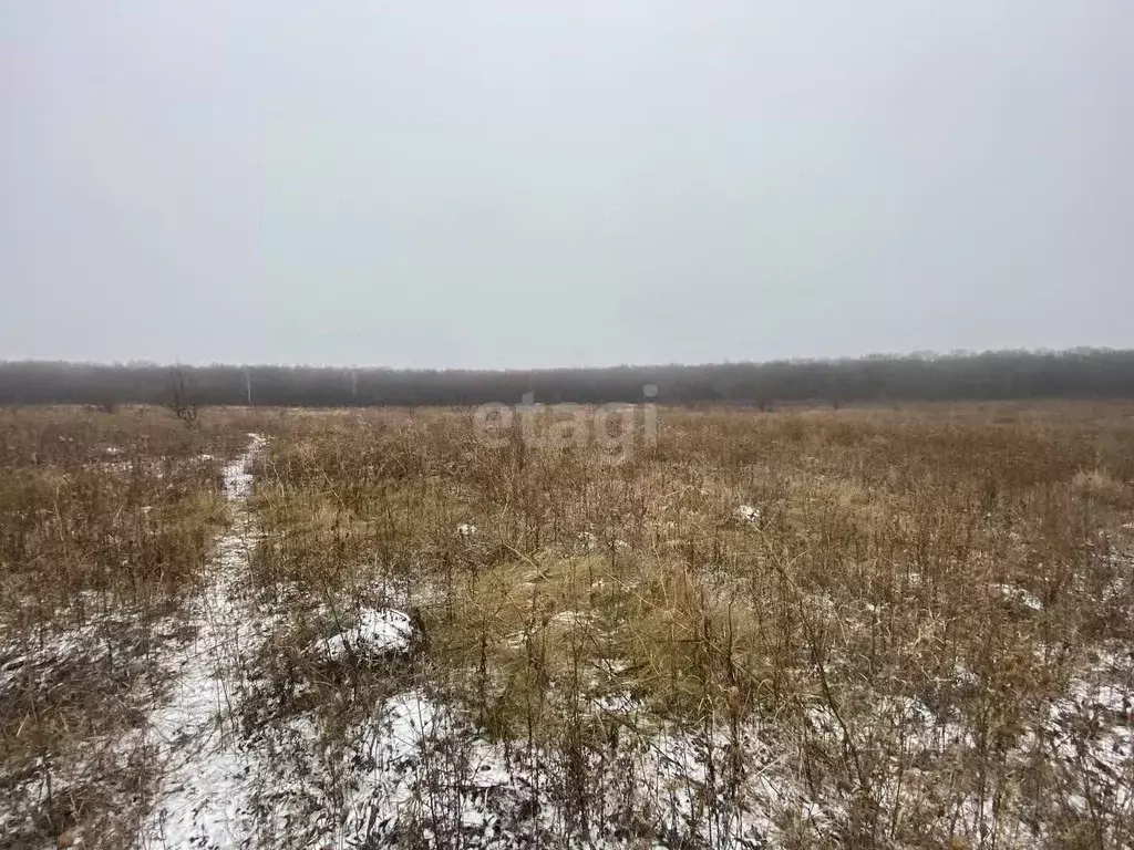 Участок в Белгородская область, Старый Оскол ул. Пушкарская дача (15.0 ... - Фото 1