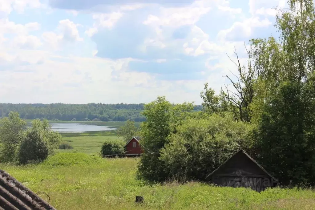 Участок в Тверская область, Западнодвинский район, д. Селище  (3600.0 ... - Фото 1