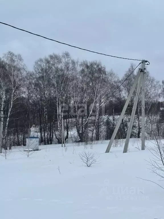 Участок в Нижегородская область, Богородский муниципальный округ, д. ... - Фото 0