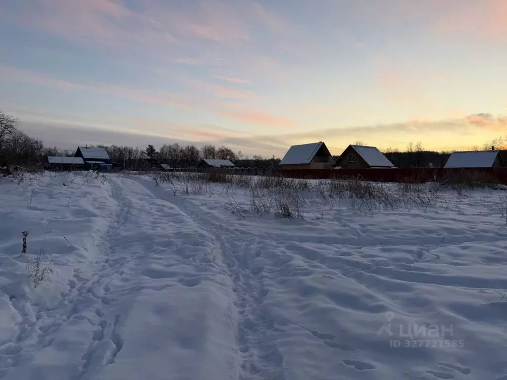 Участок в Мурманская область, Кольский муниципальный округ, Росток-9 ... - Фото 2