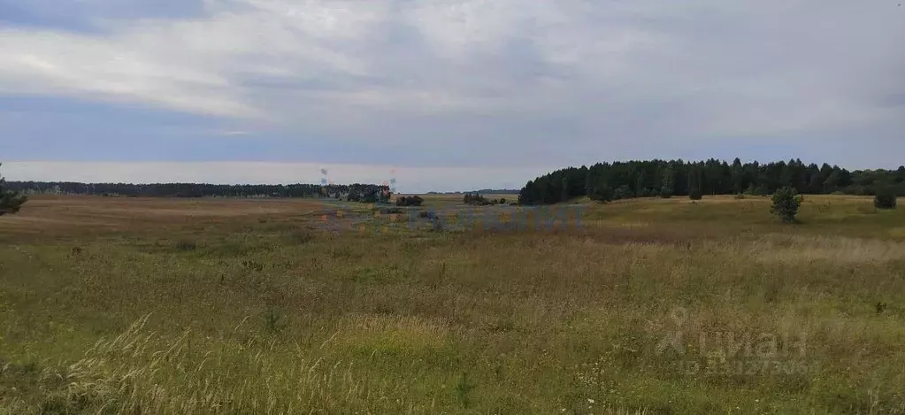 Участок в Нижегородская область, Богородский муниципальный округ, д. ... - Фото 2
