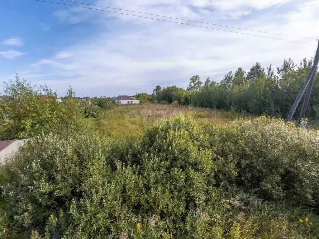 Участок в Тюменская область, Тюмень Липовый Остров СНТ, пер. 1-й 7-й ... - Фото 1