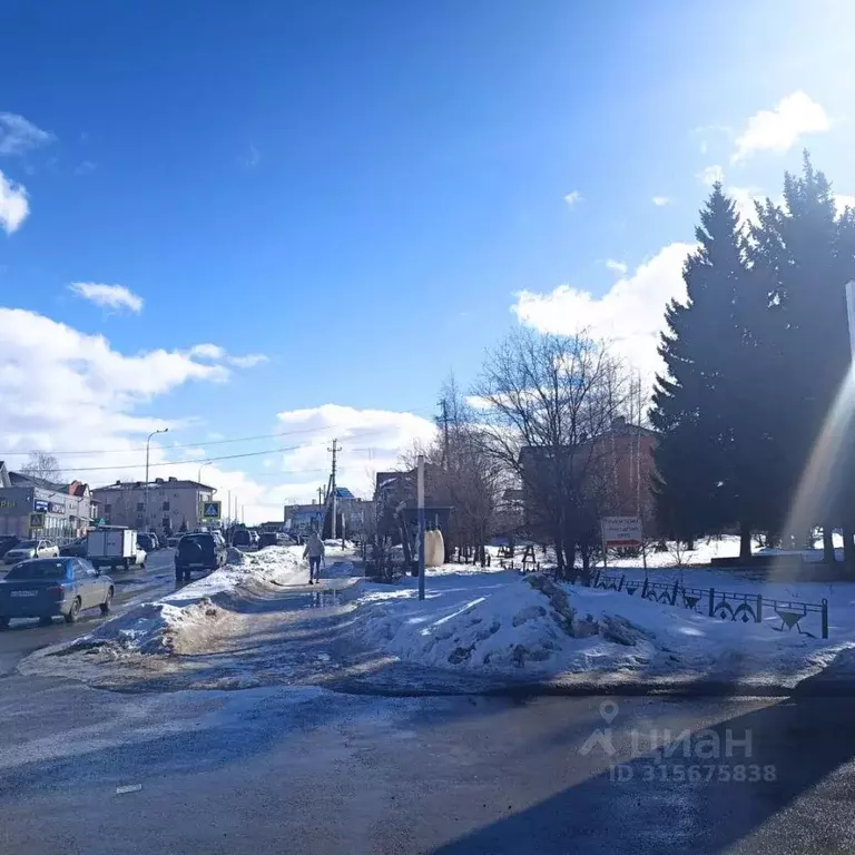 Участок в Татарстан, с. Высокая Гора ул. Центральная, 3 (20.0 сот.) - Фото 1