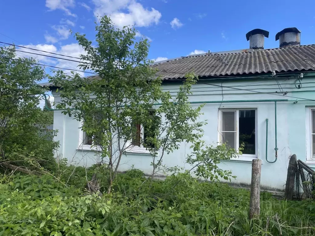 Дом в Нижегородская область, Богородский муниципальный округ, д. ... - Фото 1