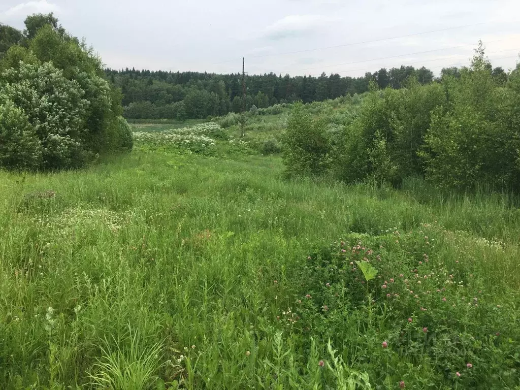 Участок в Московская область, Пушкинский городской округ, Царевское ... - Фото 0