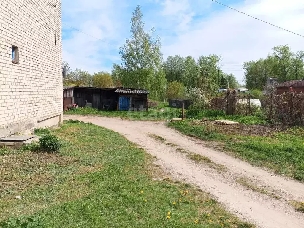 3-к кв. Псковская область, Остров Загородная ул., 4 (54.0 м) - Фото 2