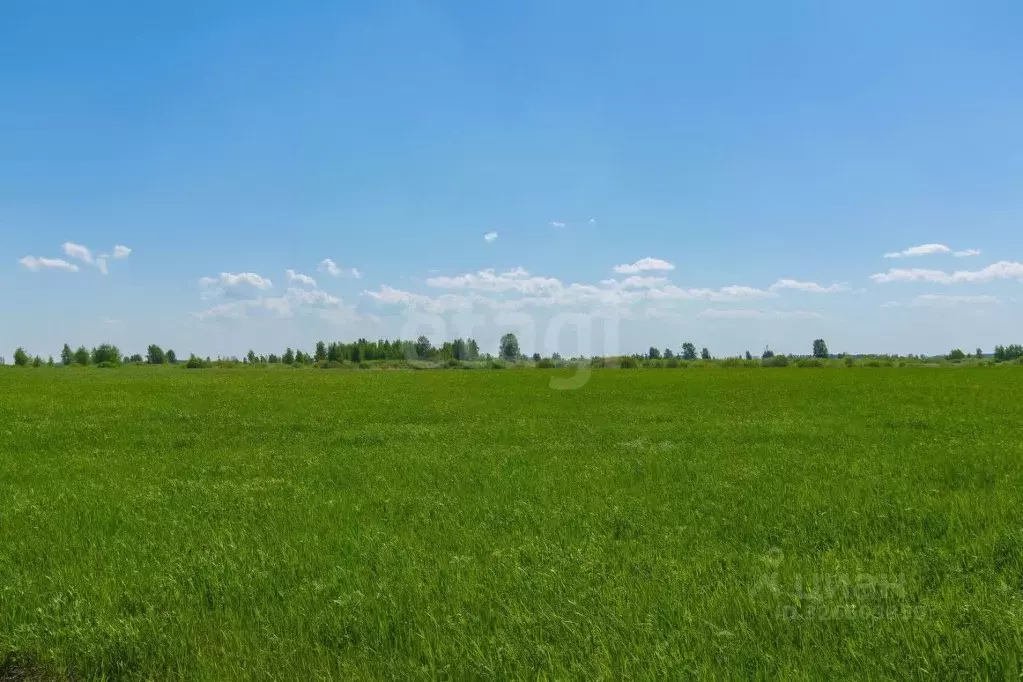 Участок в Тюменская область, Тюмень  (7.48 сот.) - Фото 1